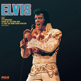 Elvis Fool