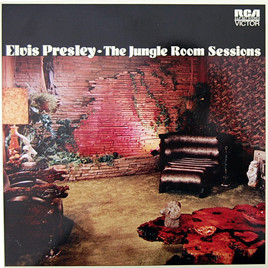 image cover FTD The Jungle Room Sessions